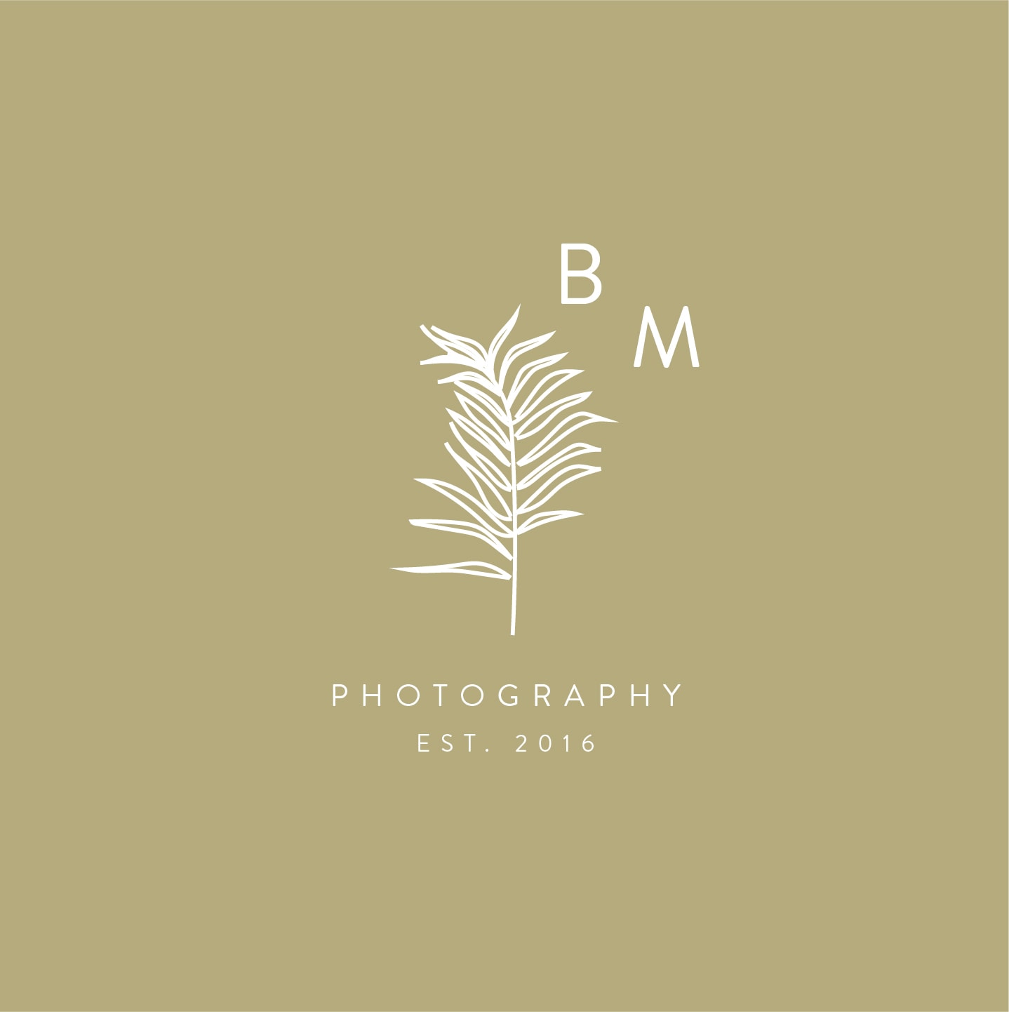 Semi custom brands for photographers & creatives | Davey & Krista