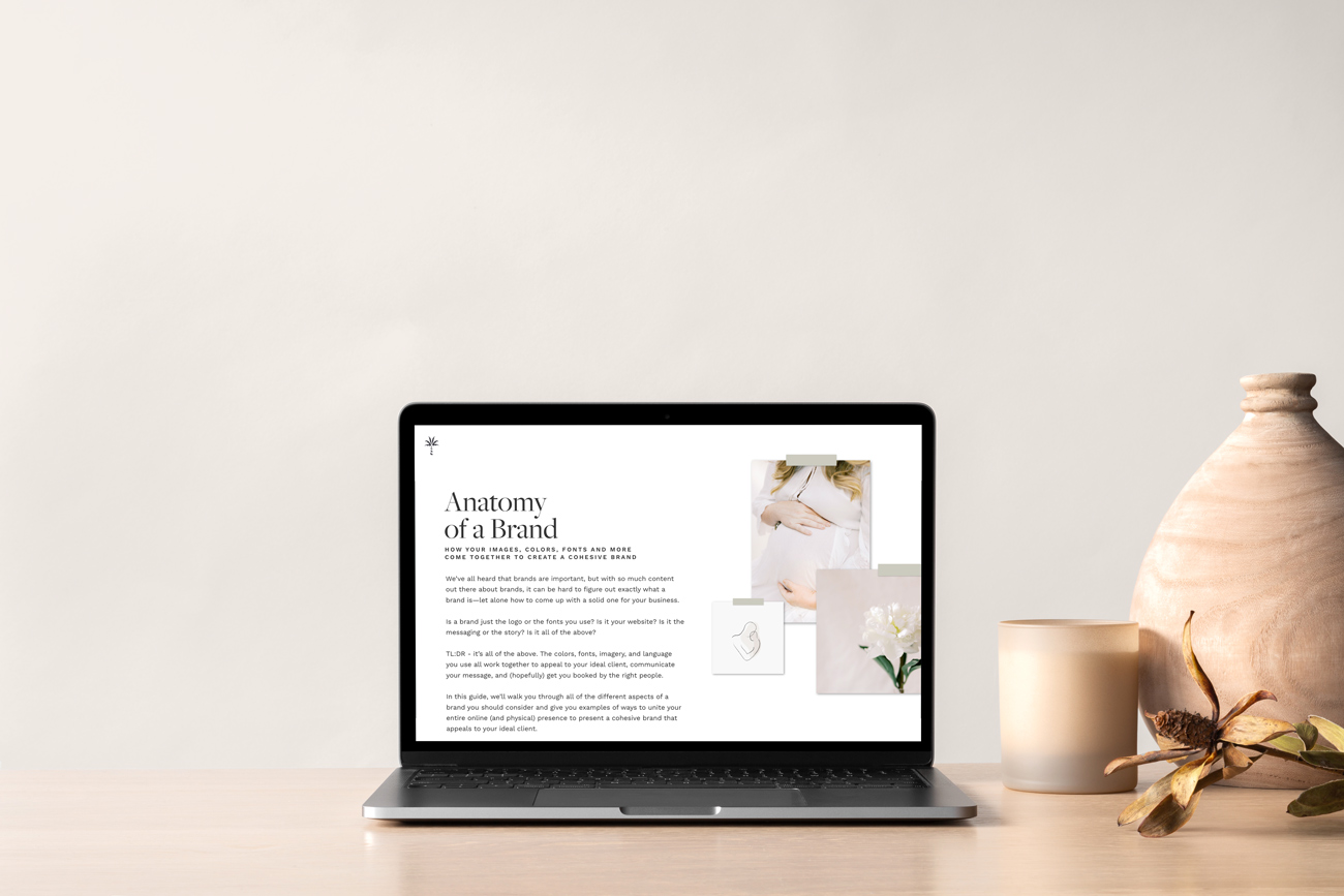 Download the Anatomy of a Brand Guide | Davey & Krista 