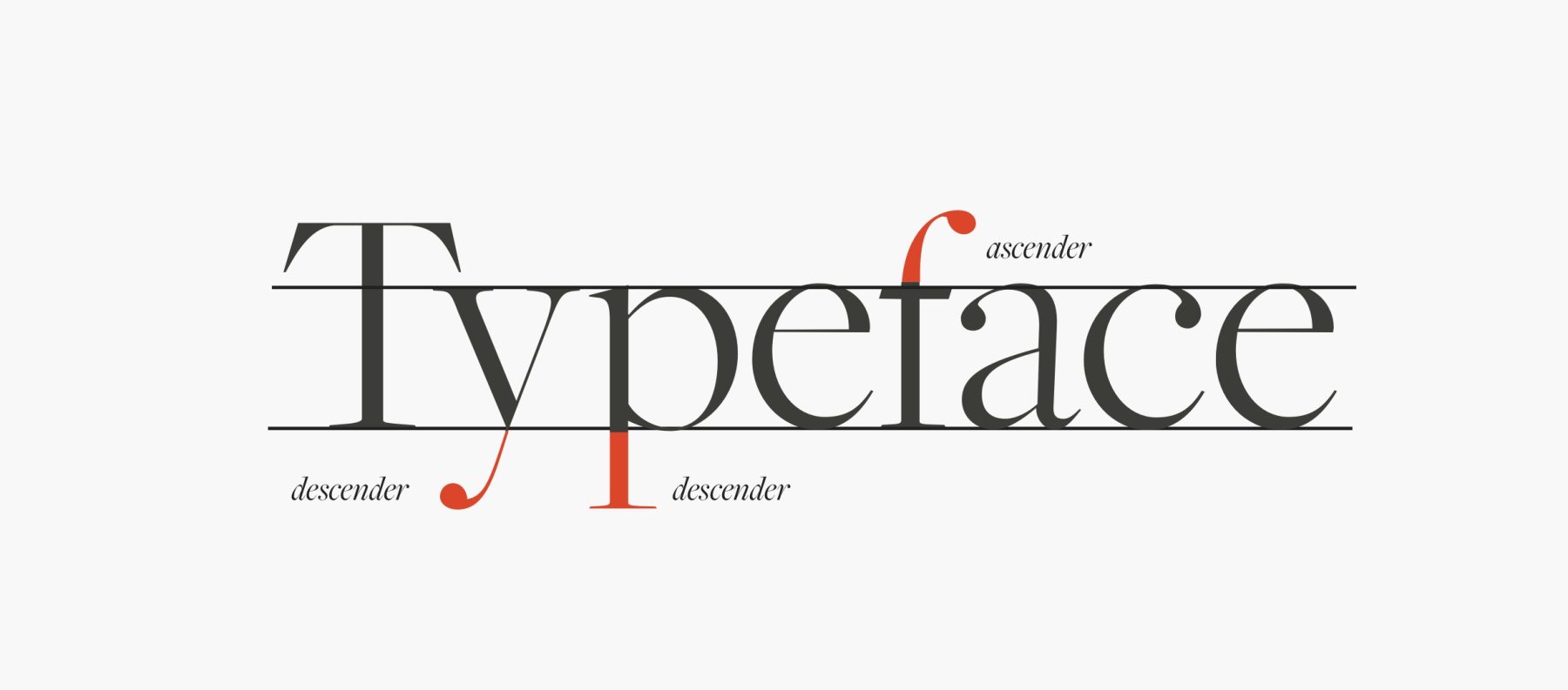 Ascenders & Descenders in typography