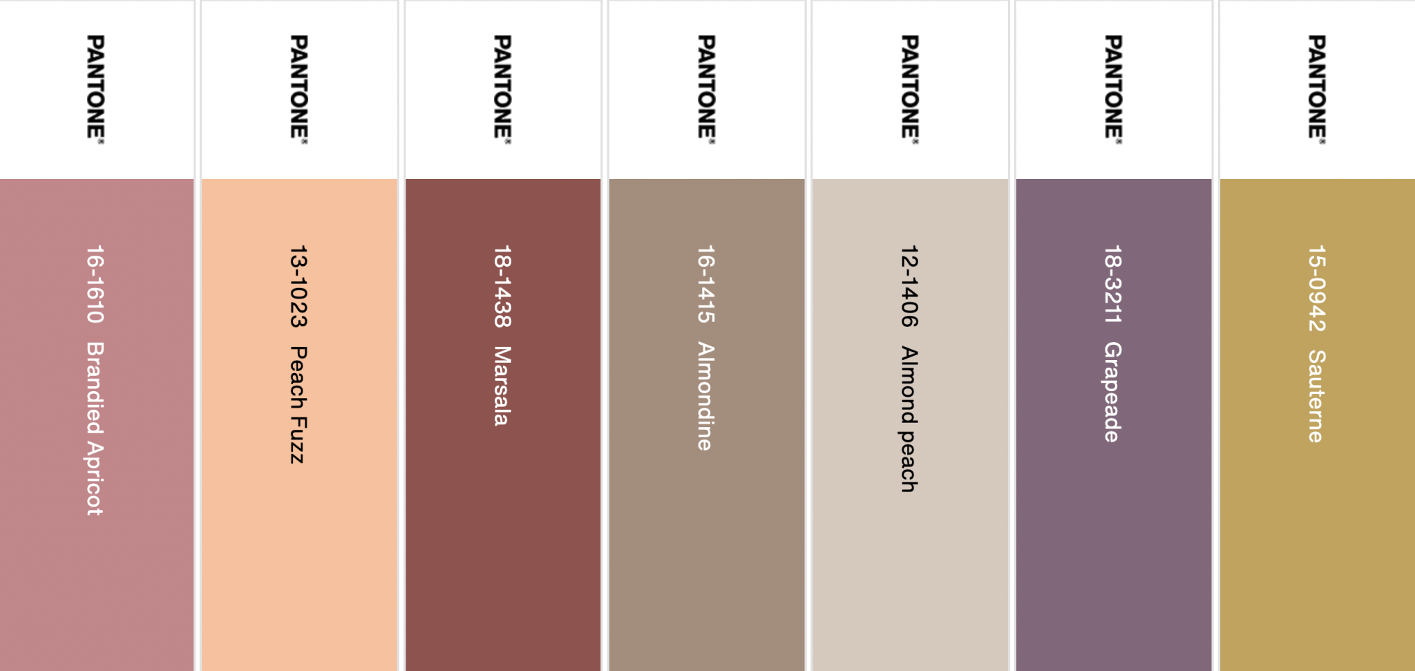 17 Trending Color Palettes for Websites in 2024 | Davey & Krista