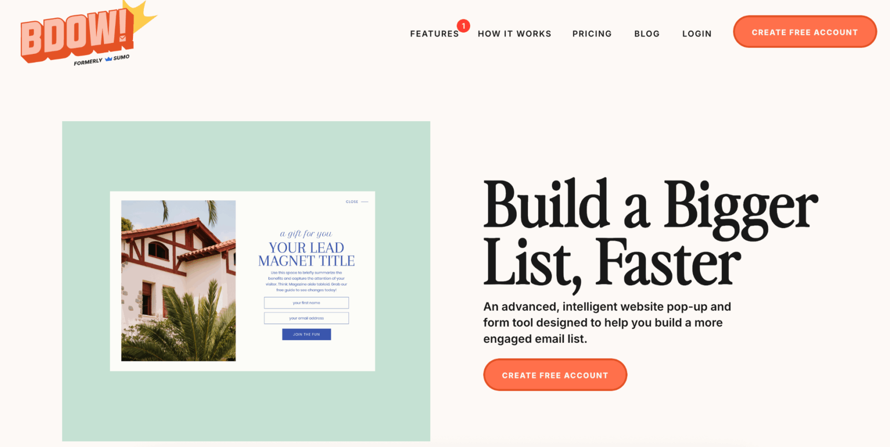 Lead generation tools, BDOW pop up builder