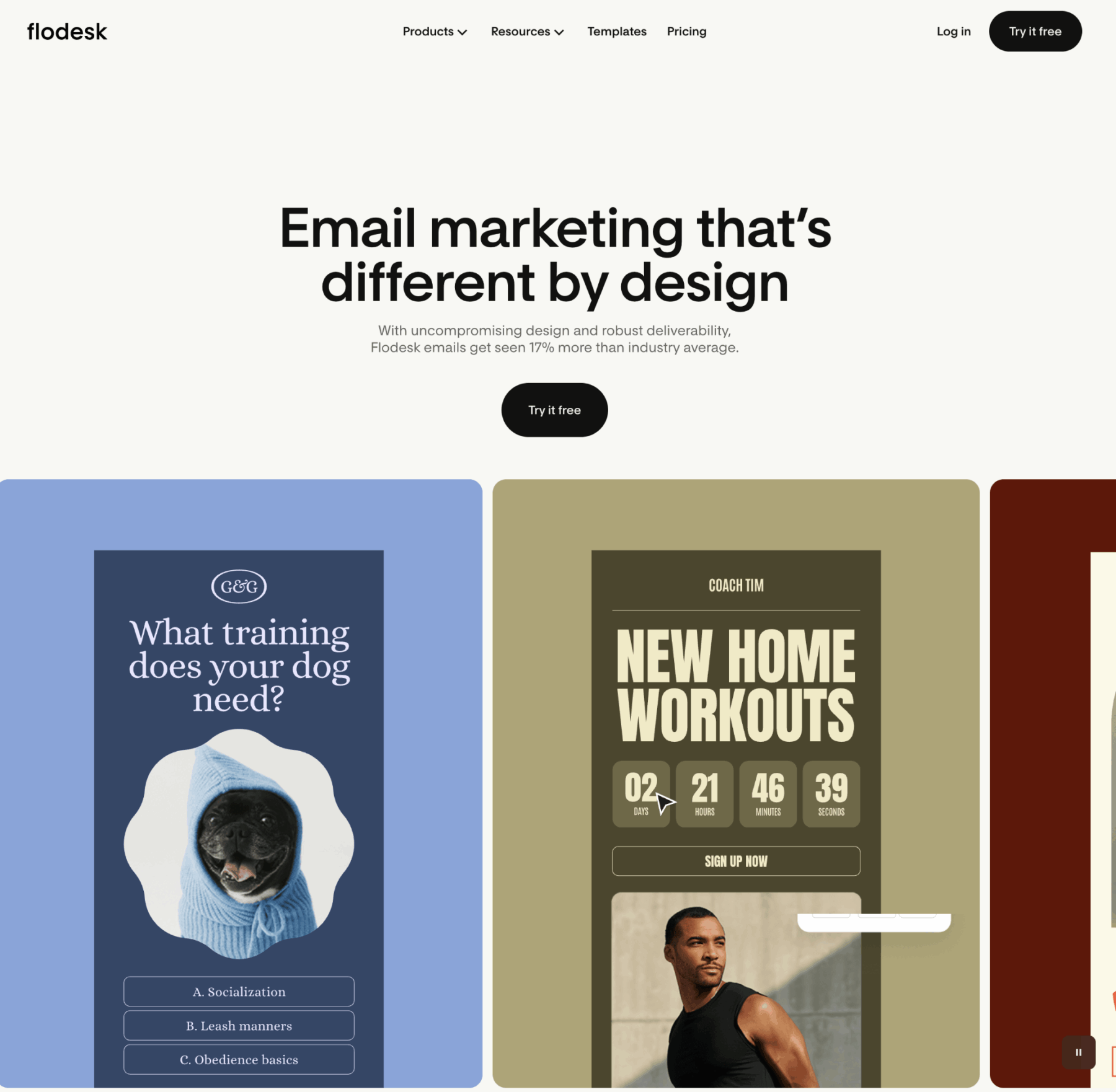 Flodesk email template showing brand-forward design for photographers and creatives