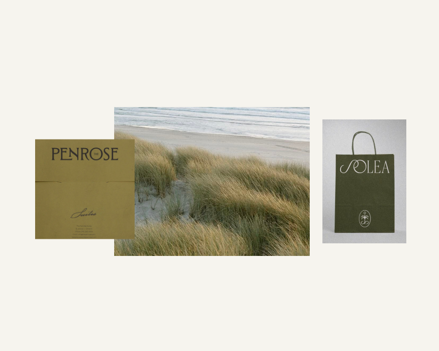 2026 brand color trends |  Trend 2: Deep Teal and Organic Earth Contrast