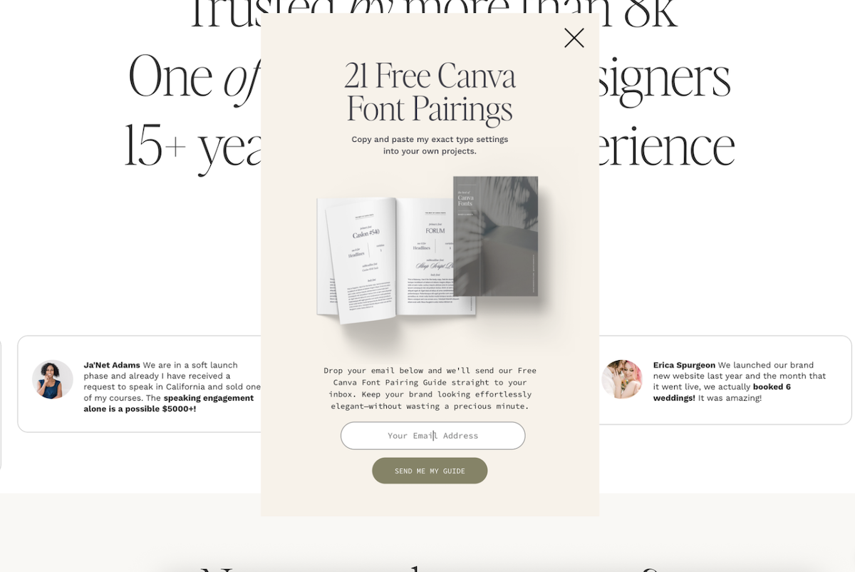 Example of Davey & Krista's targeting pop-up design as an example of how to add a pop-up to a Showit website.