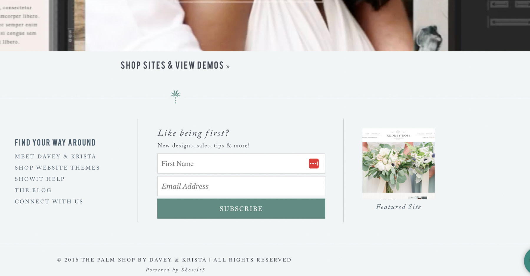 Example of where to put an email opt-in on daveyandkrista.com.